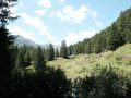 GuSp-068