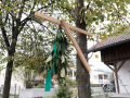 2026-Buschenschank-002