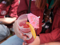 2026-Startfest-077