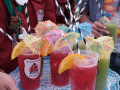 2026-Startfest-081