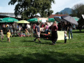 2026-Startfest-129